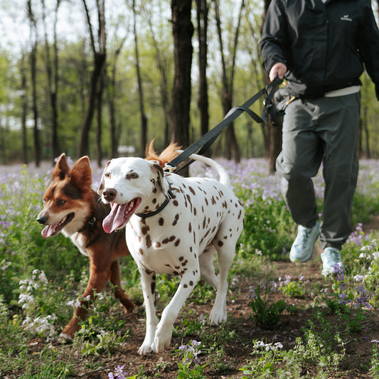 ARRIO LIGTH WEIGHT DOG LEASH