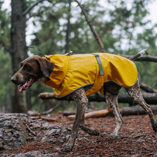 PUFFER PU DOG RAIN JACKET 4