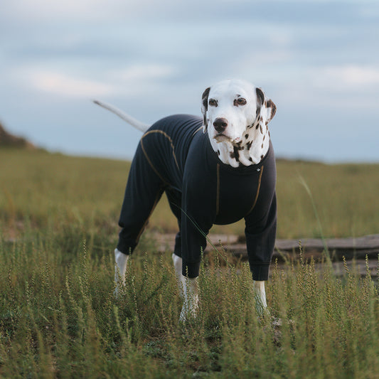 COZYQUAD ALL-WEATHER JUMSUIT