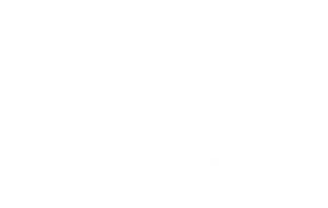 BlackDoggy Store