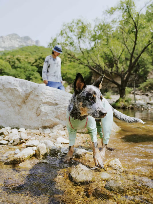 No scorching sun on the skin, no bugs or grass sticking to the body—explore to your heart's content!