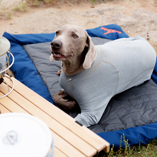 CHILLY ROLL-UP OUTDOOR DOG CAMPING BED