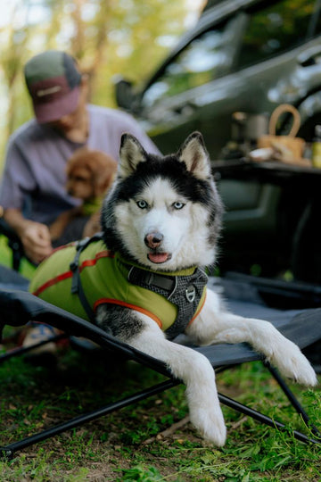 JAVIK COOLING VEST