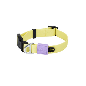 EMBOSSED PVC  WATERPROOF COLLAR  26