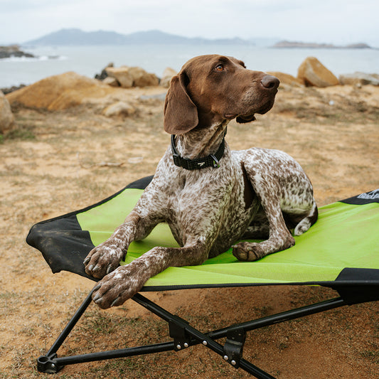 FOLDABLE OUTDOOR DOGBED