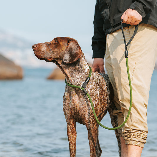 SLIP LEASH