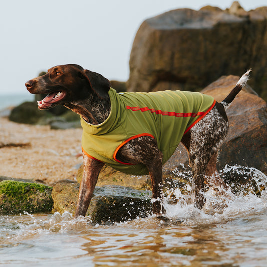 JAVIK COOLING VEST