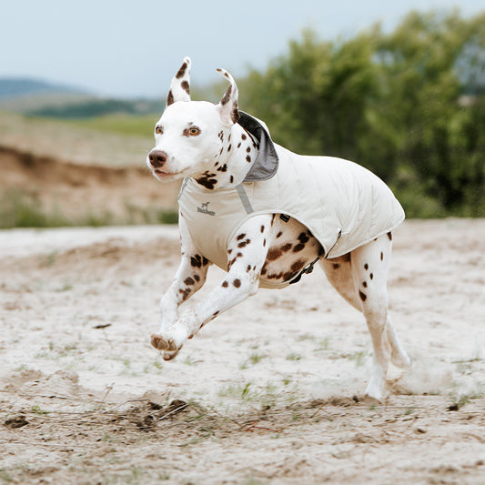 SNUGGLE PUFF DOG COAT