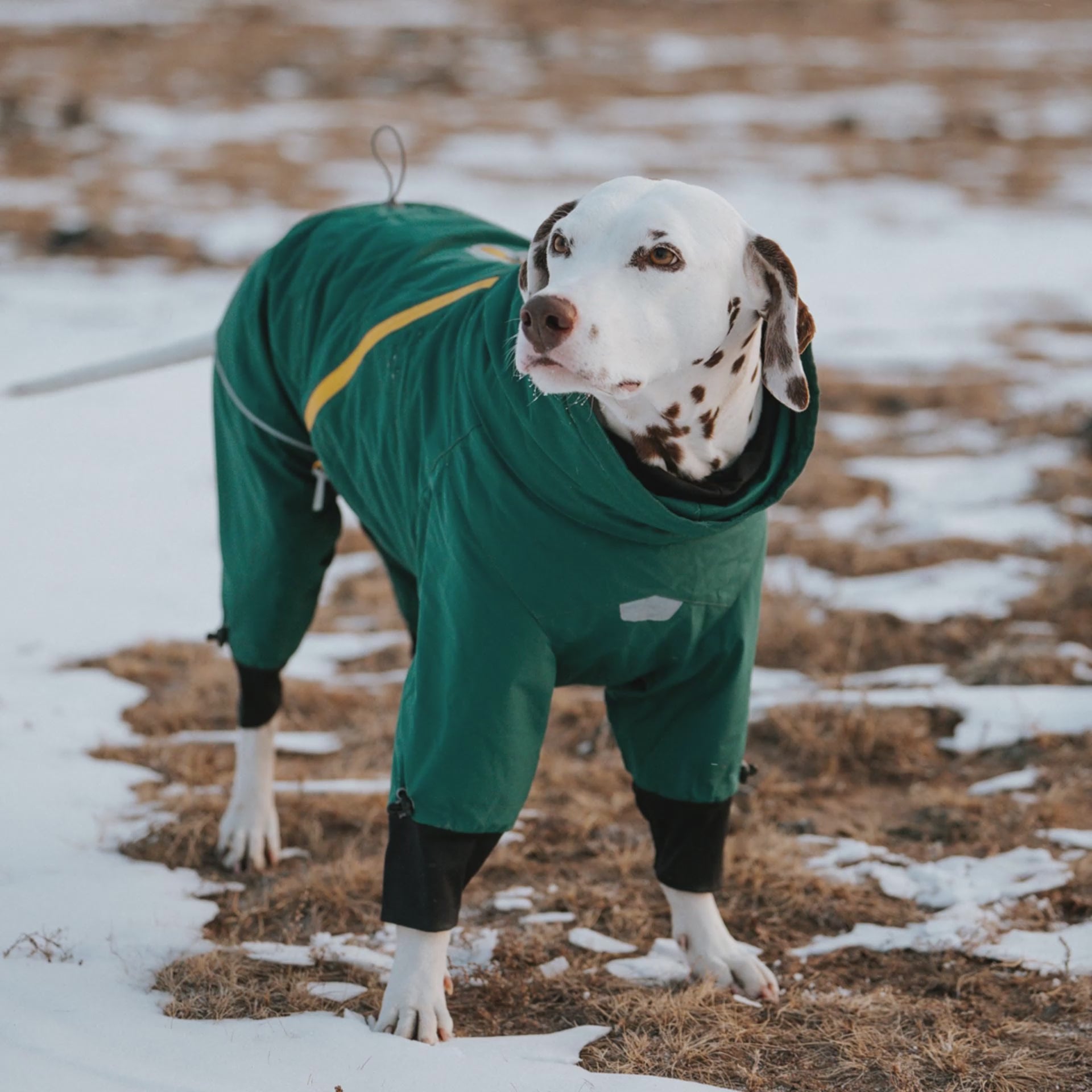 SUMMIT OUTDOOR ALL-ROUND WARMTH JACKET – BlackDoggy Store